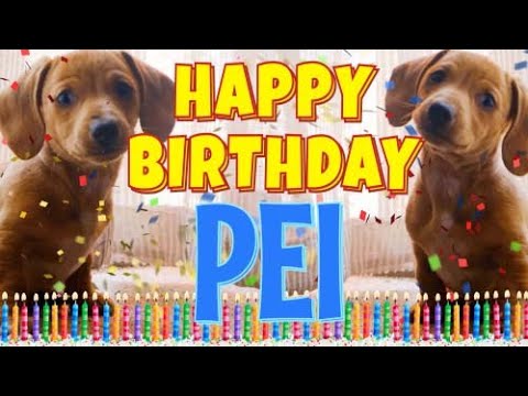 Happy Birthday Pei! ( Funny Talking Dogs ) What Is Free On My Birthday