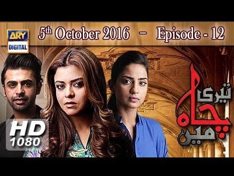 Teri Chah Mein Episode 12 | Farhan Saeed | Maria Wasti | SAboor Aly | ARY Digital