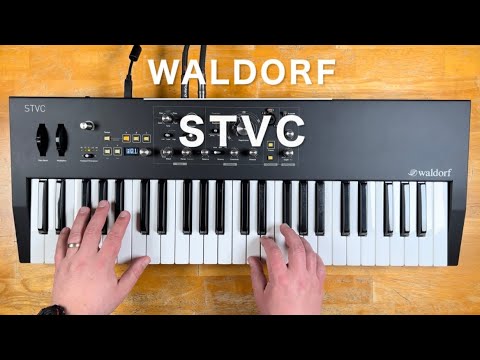 Waldorf STVC String Synthesizer / Vocoder 2018 - Present - Black Bild 4