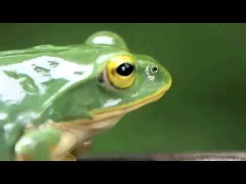 E-PL3動画テスト14-42　マクロAF