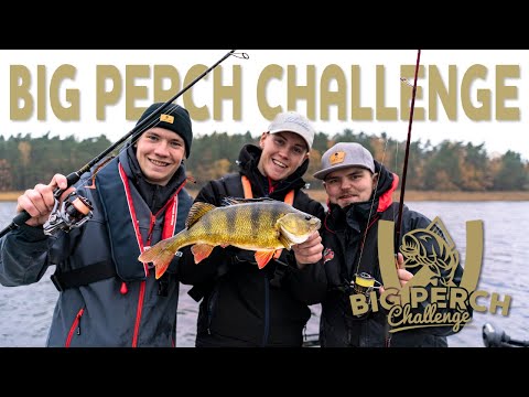 Westin Big Perch Challenge 2021