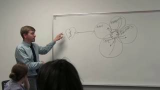 Communicating in an Agency (Jesse Hall)