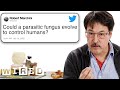 Mycologist Answers Mushroom Questions From Twitter Tech Support WIRED