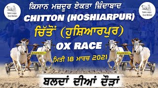Chitton (Hoshiarpur) Ox Race 18 Mar 2021