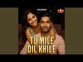 Tu Mile Dil Khile