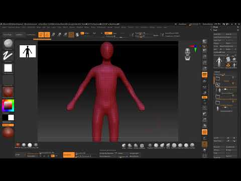 Starting simple in anatomy   ZBrush Anatomy and Character Creation Course