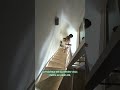 video uHMW2Wec9Co