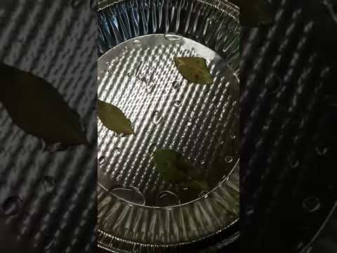 Ancient Roman Cheesecake