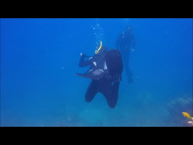 Great Barrier Reef Scuba Diving