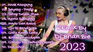 Download lagu Mixtape Remix indonesia Terpupuler 2023 By Dj Brian Bie mp3