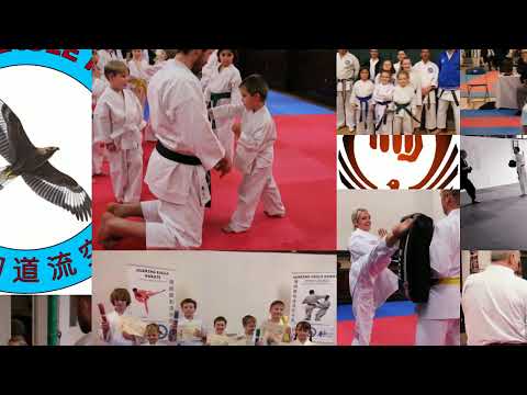 Soaring Eagle Karate video.