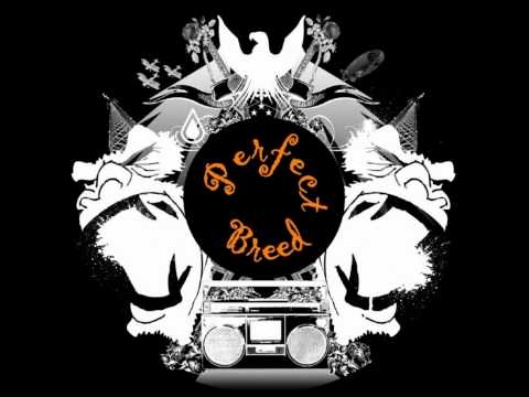 Duck Sauce - Barbra Streisand (Darth & Vader Remix) HD