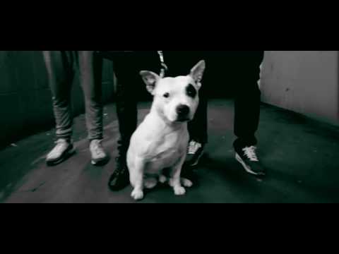 PITBULLS - Mr Dirty South & Jflowz feat. Trouble (prod by MDS)