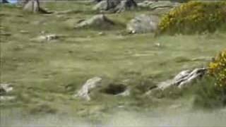 Leon and Rhydian sing Xfactor duet together When you believe