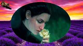 BIJELO DUGME-KAD ZABORAVIS JULI (TEKST)