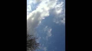 Navy Seal Team Sky Dive 10 08 11