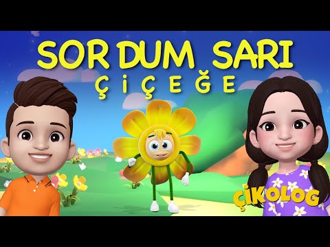 SORDUM SARI ÇİÇEĞE (Çikolog) | Çocuk İlahileri | Çocuk Şarkıları