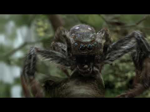 Bavaria drop comes to those who... catch it