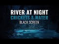 River at Night | 8 Hours of Soothing Crickets & Water Sounds | Black Screen