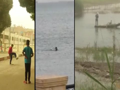 المصريون يتحدون الأمطار.. شاب يسبح في النيل وصياد يمارس عمله