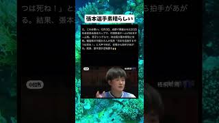 #政治 #卓球 #張本智和
