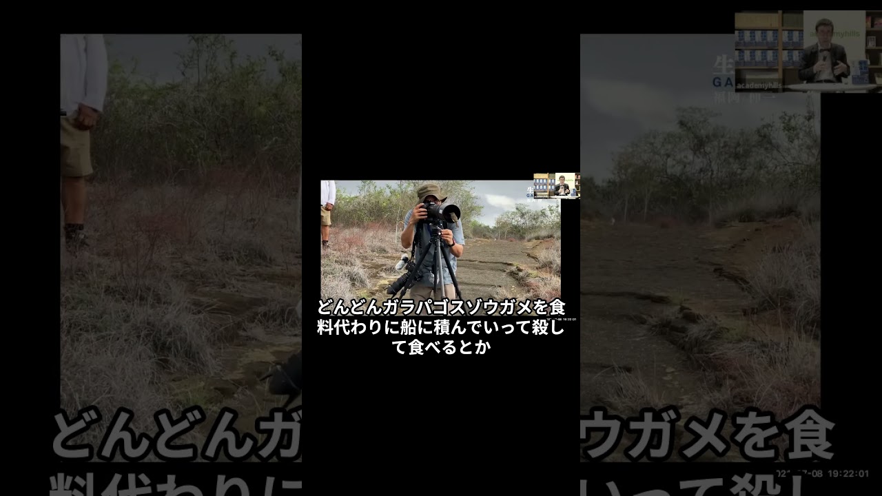 【#shorts】ガラパゴスの生物は、なぜ人を恐れないのか？②