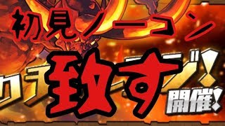 パズドラ生配信　一度きりチャレンジ　初見ノーコン致す
