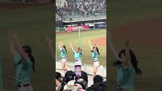 【TeamTaiwan】#台灣尚勇 #衣宸 #包子 #禹菡 #冬季聯盟@斗六棒球場 20241130 #台湾チア #啦啦隊  #cheerdance #cheerleader #cpbl #awb