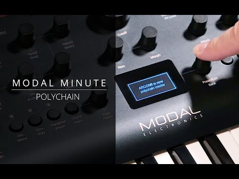 Modal Minute #24 – PolyChain