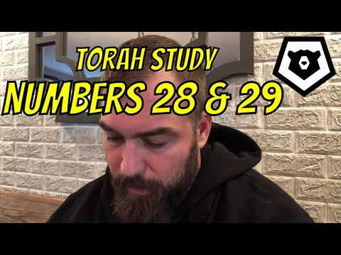 No Roots, No Fruit Torah Study: Numbers 28 & 29
