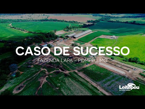 CASO DE SUCESSO: FAZENDA LAPA – Pompéu, MG