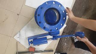 CHECK VALVE TILTING DISC