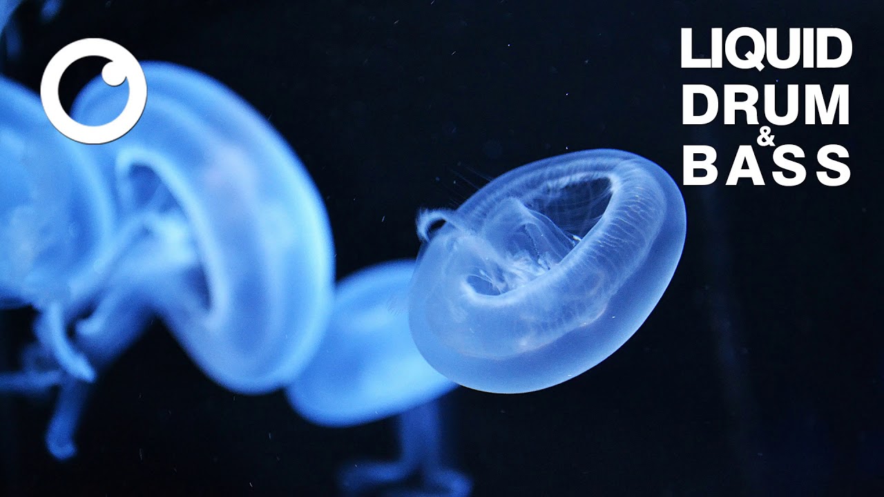 Liquid Drum & Bass Mix 2020 #25