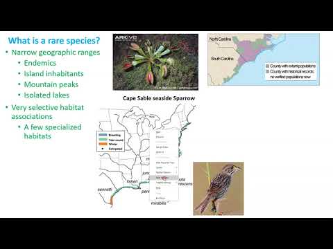 Consequences, Causes & the nature of Rarity Part I