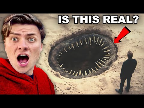 6 Extinct Beach Monsters That Actually Exist