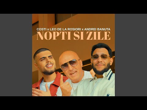 Nopti si zile