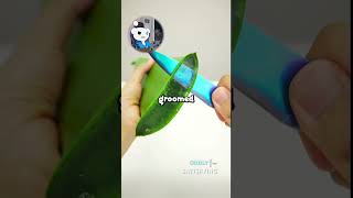 Download lagu My husband cheated on me with our son’s 18 year old GF and groomed her to think they’re in love. mp3 Download lagu My husband cheated on me with our son’s 18 year old GF and groomed her to think they’re in love. mp3