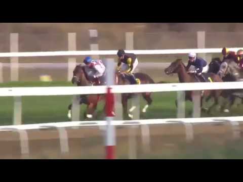 2017.09.24 Bro Park Sprint Championship (SWE) - Tinnitus