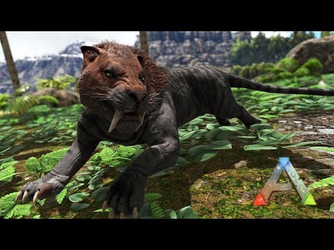 Domando um DENTE-DE-SABRE de nível alto para a BASE 03  -  ARK Servidor de PVP