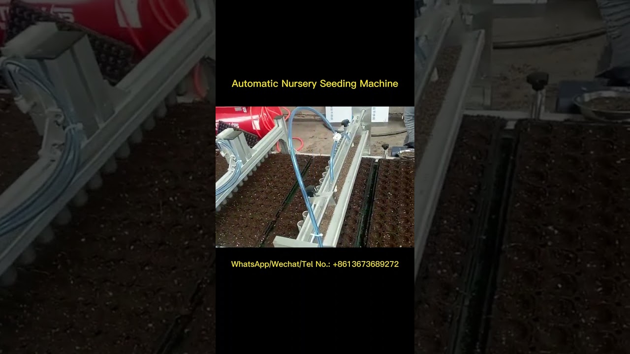 Fully Automatic Nursery Seeding Machine  - How does the Seeder Machine for Nursery Work? #nursery