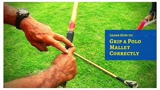 How to Hold a Polo Mallet & Basic Swing