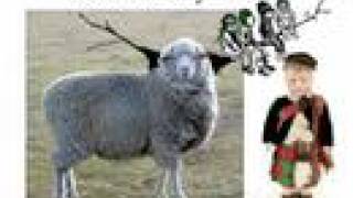 Showbread: Mouth Like A Magazine, the misheard lyrics