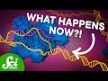 The First CRISPR Gene Therapy Is Here