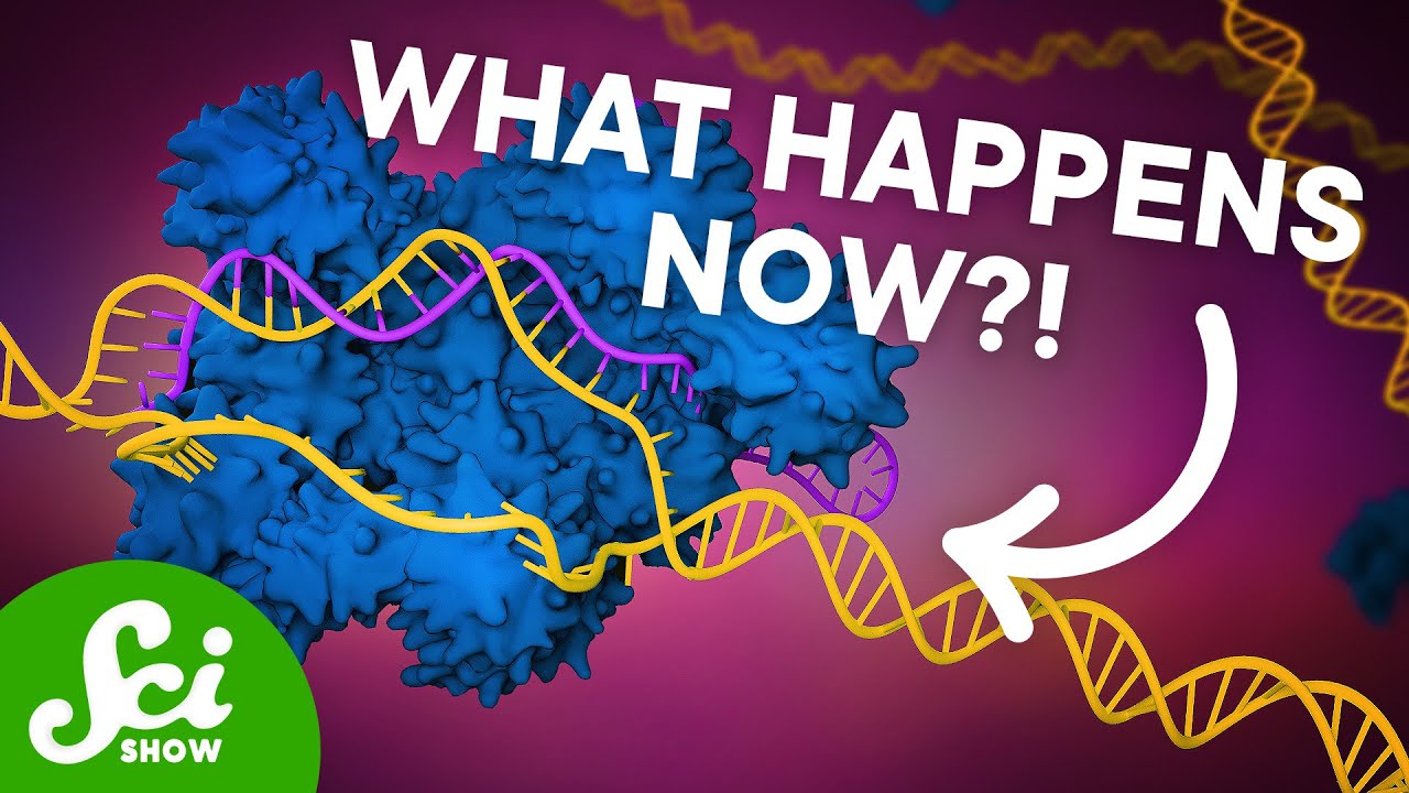The First CRISPR Gene Therapy Is Here The First CRISPR Gene Therapy Is Here