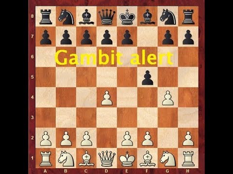 Vasylyshyn Memorial - runda 5 - FM Kamil Plichta (2367) vs IM Ihor Nester (2353)