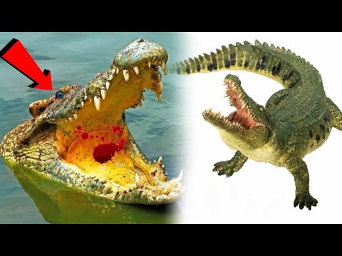 RC Realistic Swimming Crocodile Unboxing & testing - Chatpat toy tv