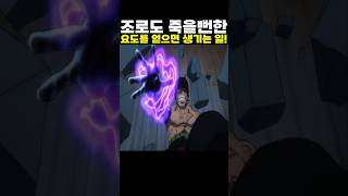 👉조로도 죽을뻔한 요도를 얻으면 생기는 일! (원피스 명장면)