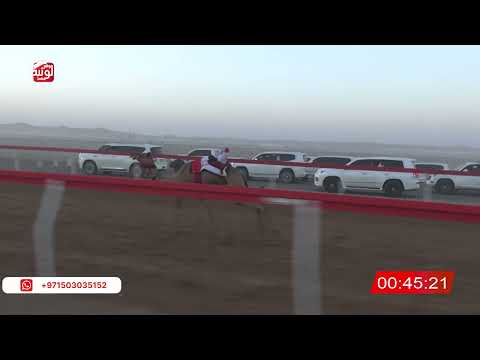  ش 1 (الشاهينية) لـ سعيد الدريبي الكتبي 2:02 , شارة الصندوق 2026/06/06 فطامين الروضة   