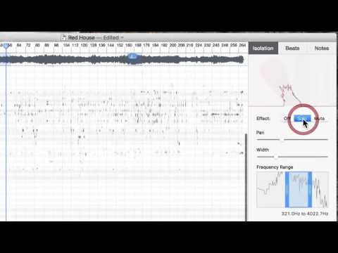dissecting hendrix WITH ISOLATION IN CAPO