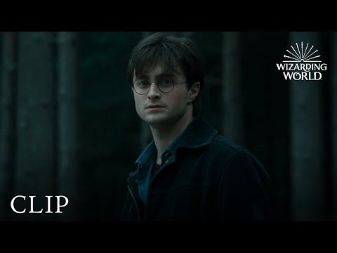 The Trio, Under Threat | Harry Potter and the Deathly Hallows Pt. 1